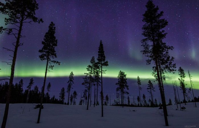 Aurora, March 2017, Kiruna, Sweden