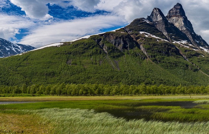 Signaldalen, Norway, June 2017