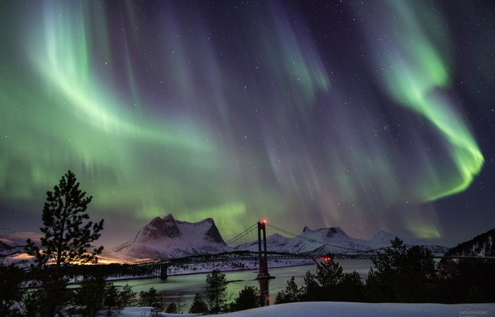 Norway, Tysfjord bridge, March 2018