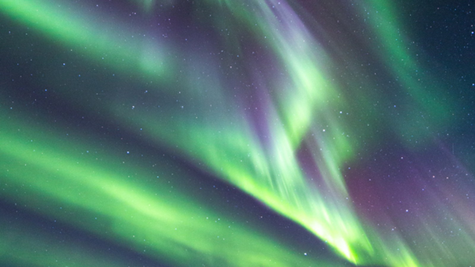 Tysfjord Aurora